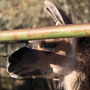 Meet your Posher, Matt